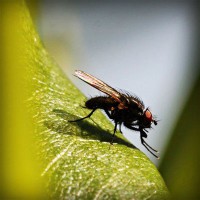 /album/asdfasdfasdf/photolia-a04-jpg/