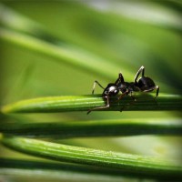 /album/asdfasdfasdf/photolia-a05-jpg/