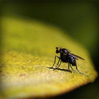 /album/asdfasdfasdf/photolia-a07-jpg/