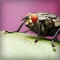 /album/asdfasdfasdf/photolia-a08-jpg/